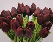  35cm hossz, 4,5-5cm-es fej, csodaszp, leth szilkon-gumi tulipn, 2db levllel: burgundi vrs
